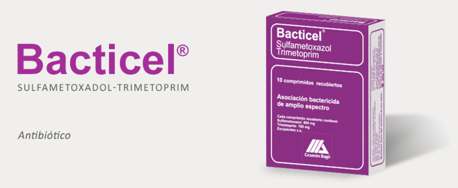 Imagen del contenido Bacticel Comprimidos