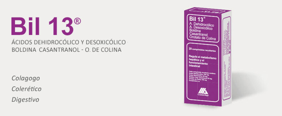Imagen del contenido Bil 13